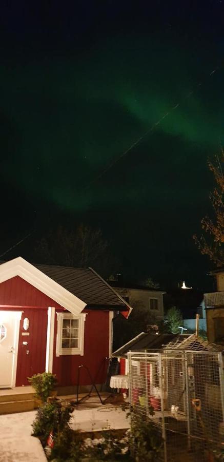 Nydelig Hytte I Kabelvag Lofoten Екстер'єр фото